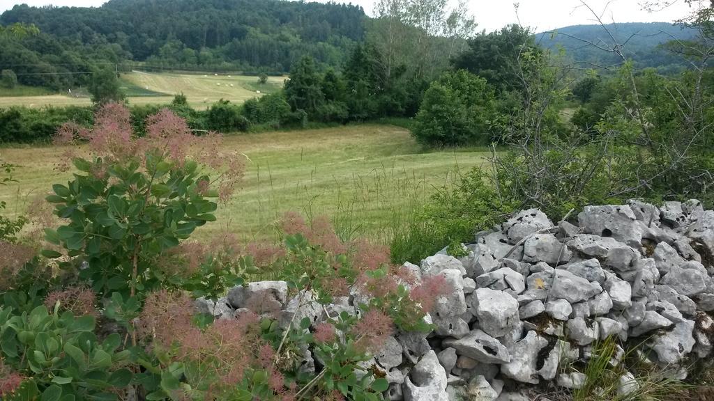 Homestead Vrbin Divaca Luaran gambar